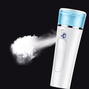2-in-1 Handheld Mist Sprayer Portable Facial Steamer Sprayer USB Rechargeable Power Bank Sprayer Beauty Instrument Hot Sale