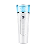 2-in-1 Handheld Mist Sprayer Portable Facial Steamer Sprayer USB Rechargeable Power Bank Sprayer Beauty Instrument Hot Sale